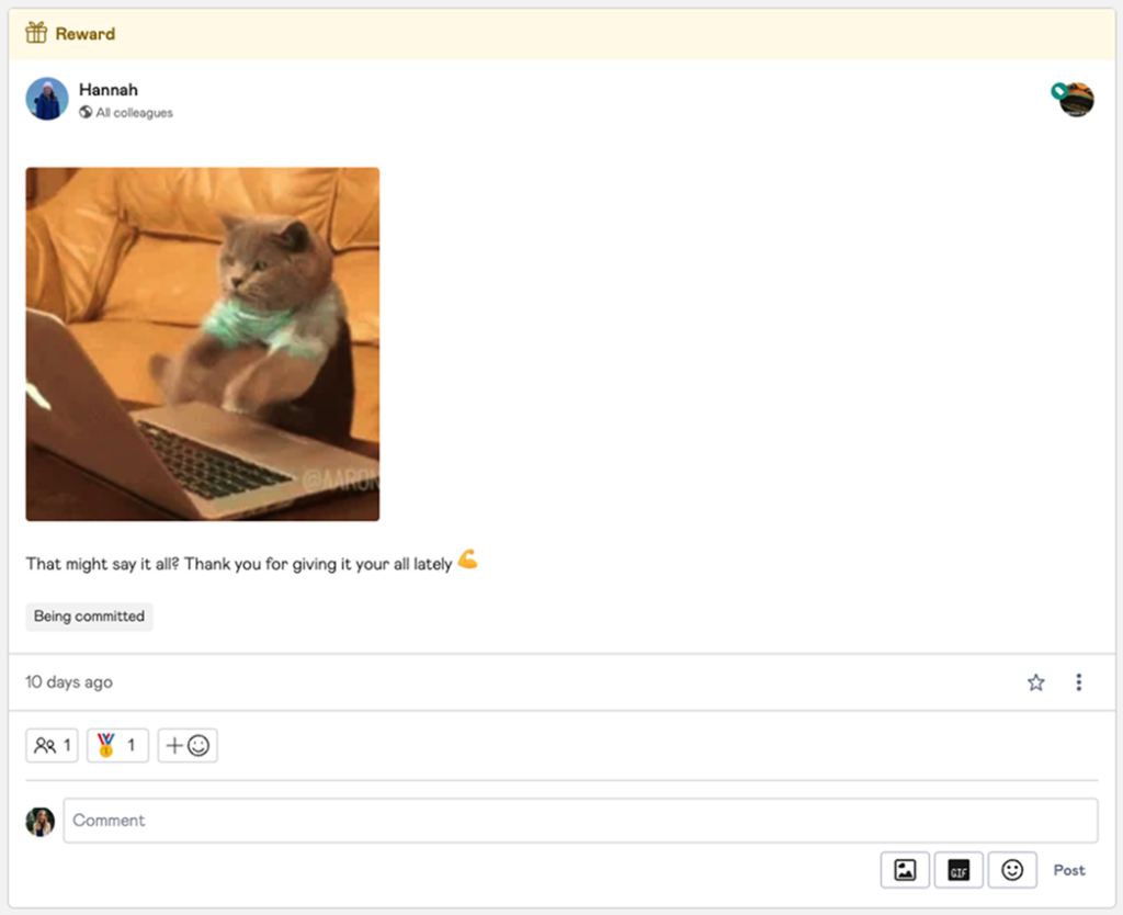 How Mo Uses Mo - Mo's feed with a Moment posted and cat GIF